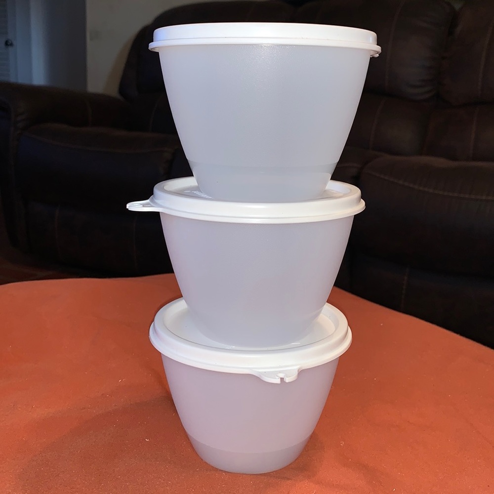 Refrigerator Bowls-Tupperware
